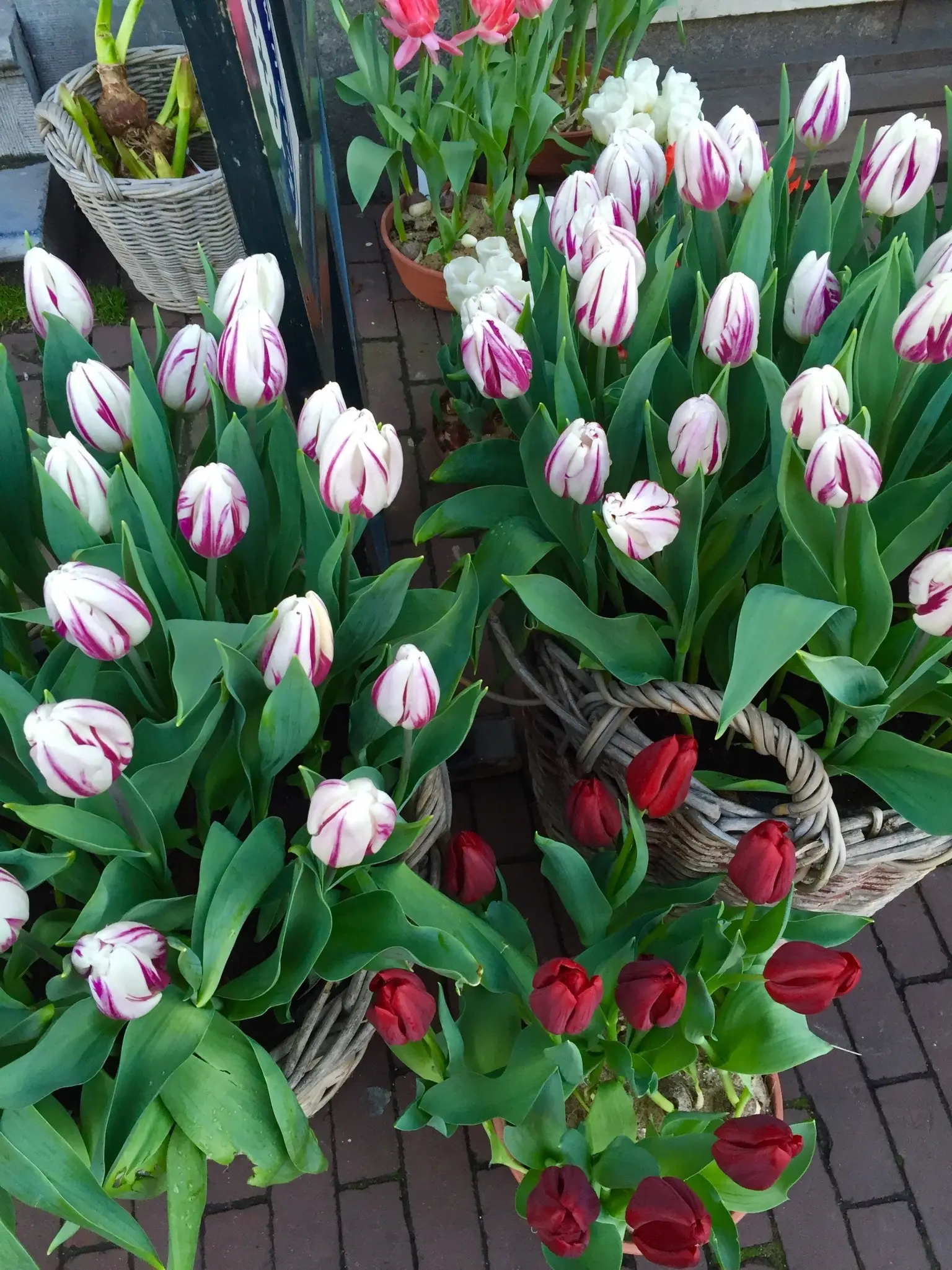 A moment from the Netherlands trip
