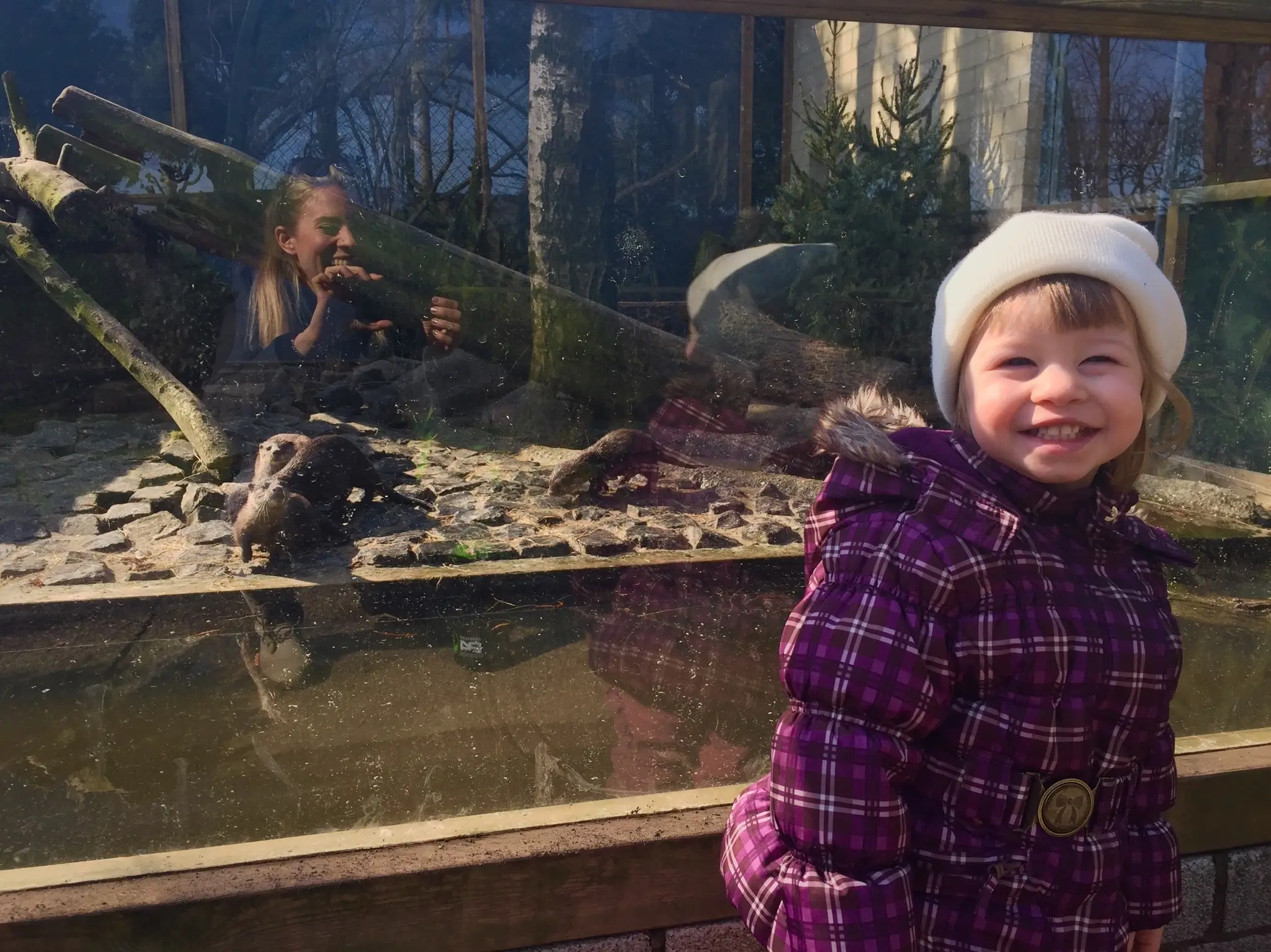 OTTERS! My favorites