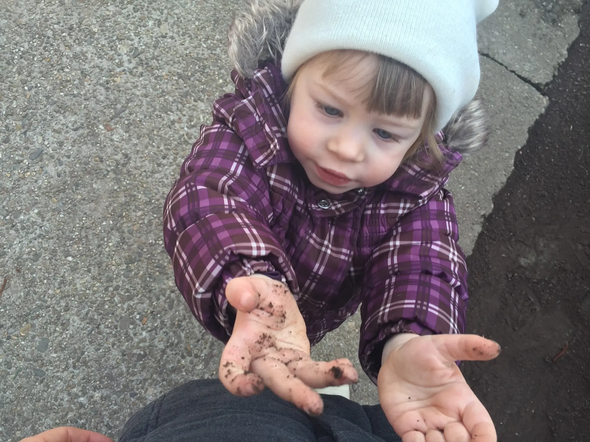 Olivia seemed to care more about the dirt than anything else