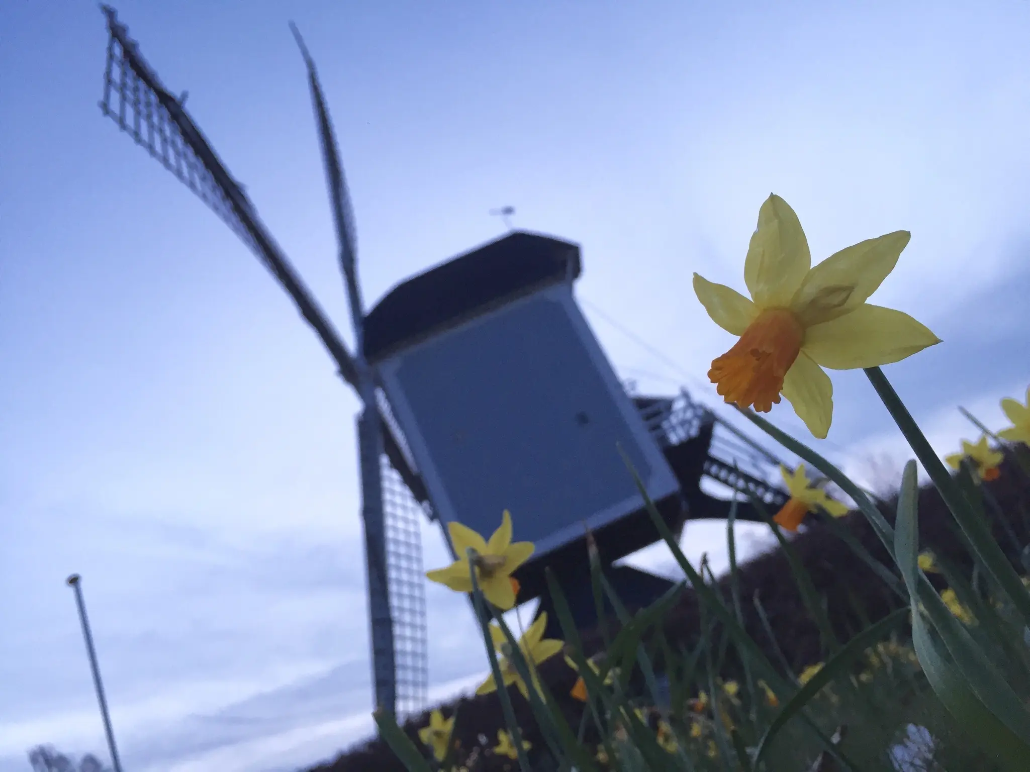 A moment from the Netherlands trip