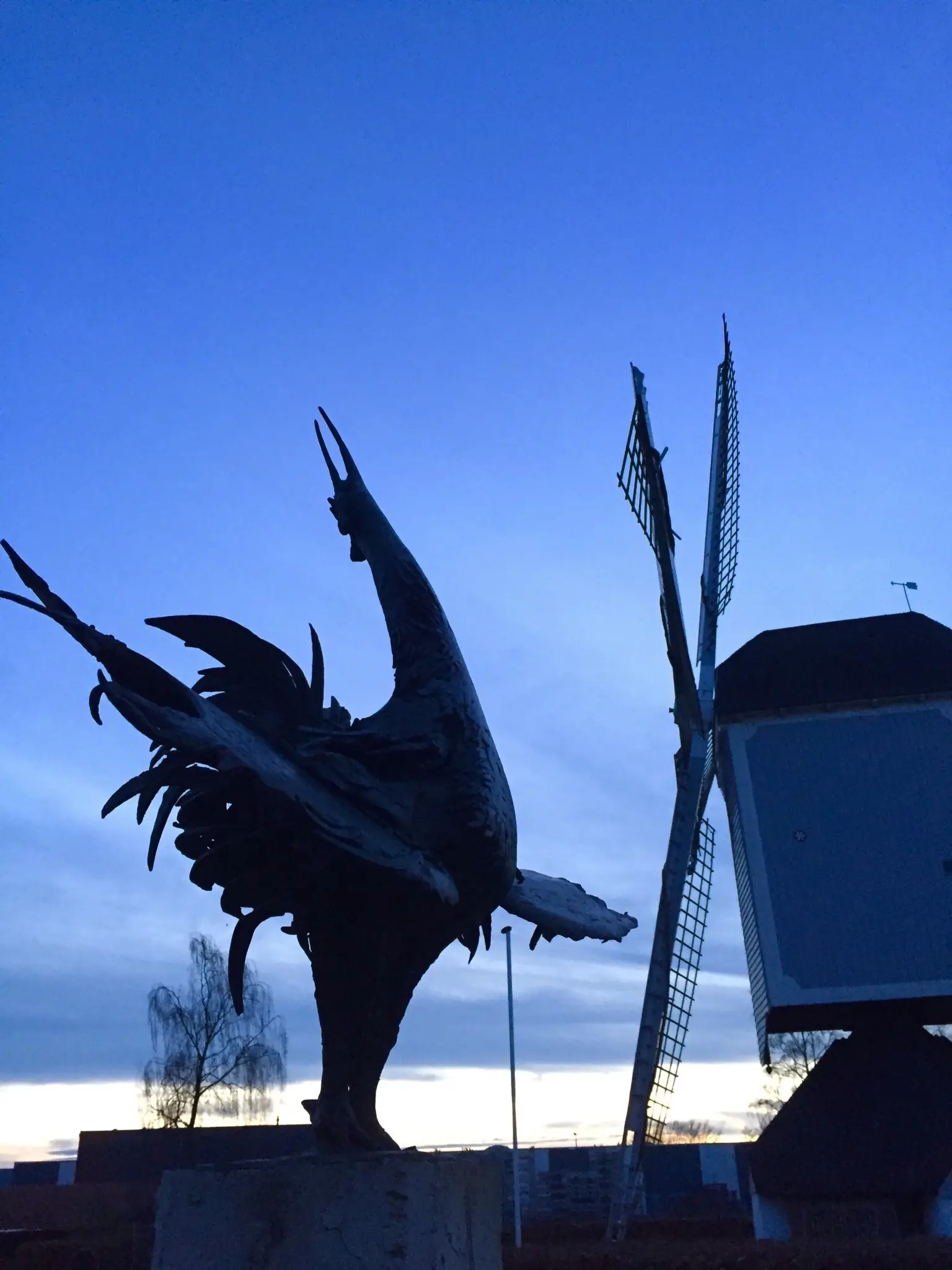 A moment from the Netherlands trip