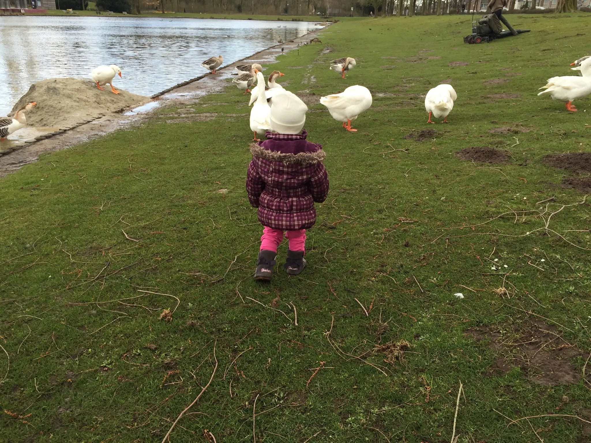 A moment from the Netherlands trip