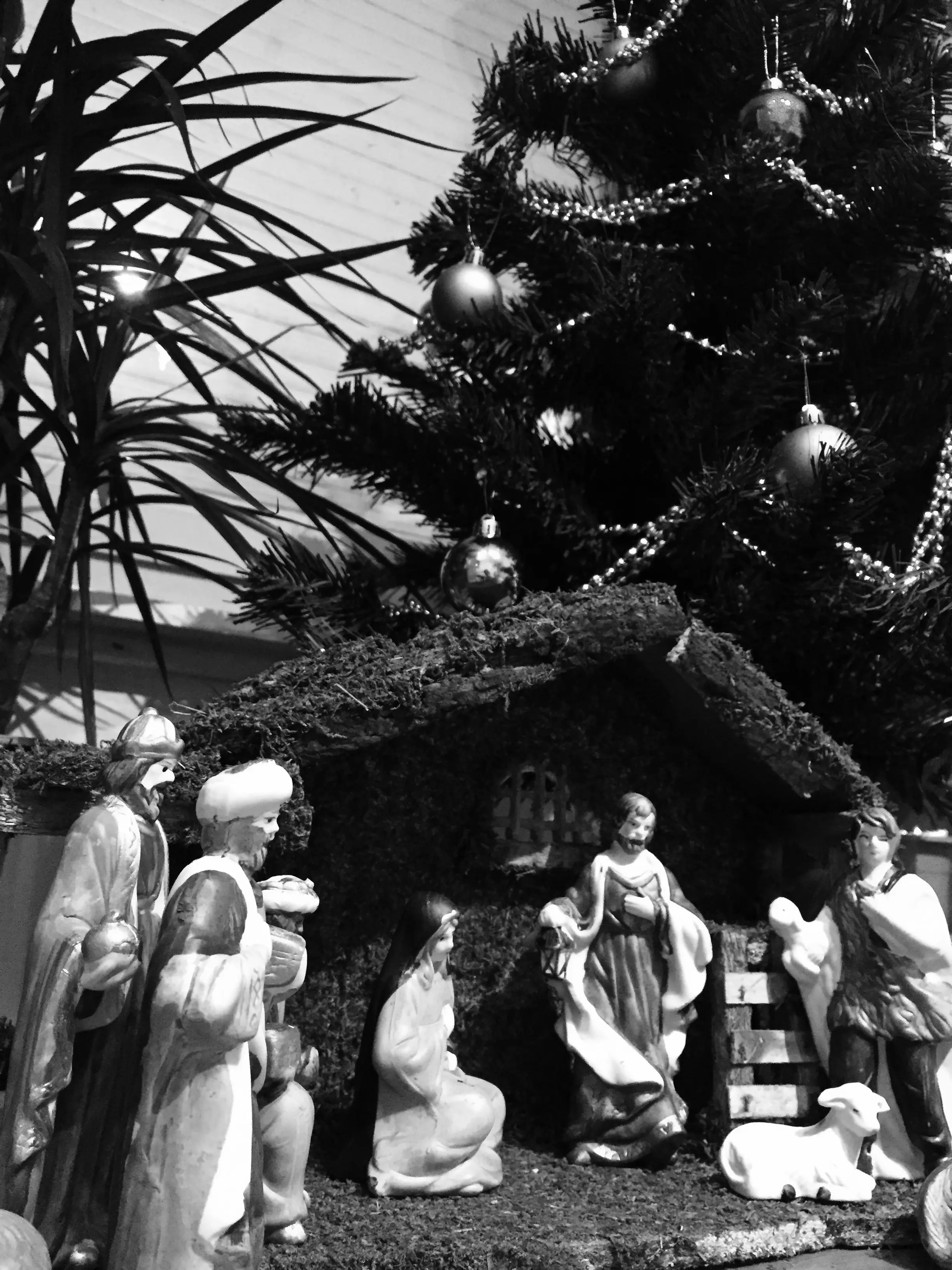 Our Nativity.