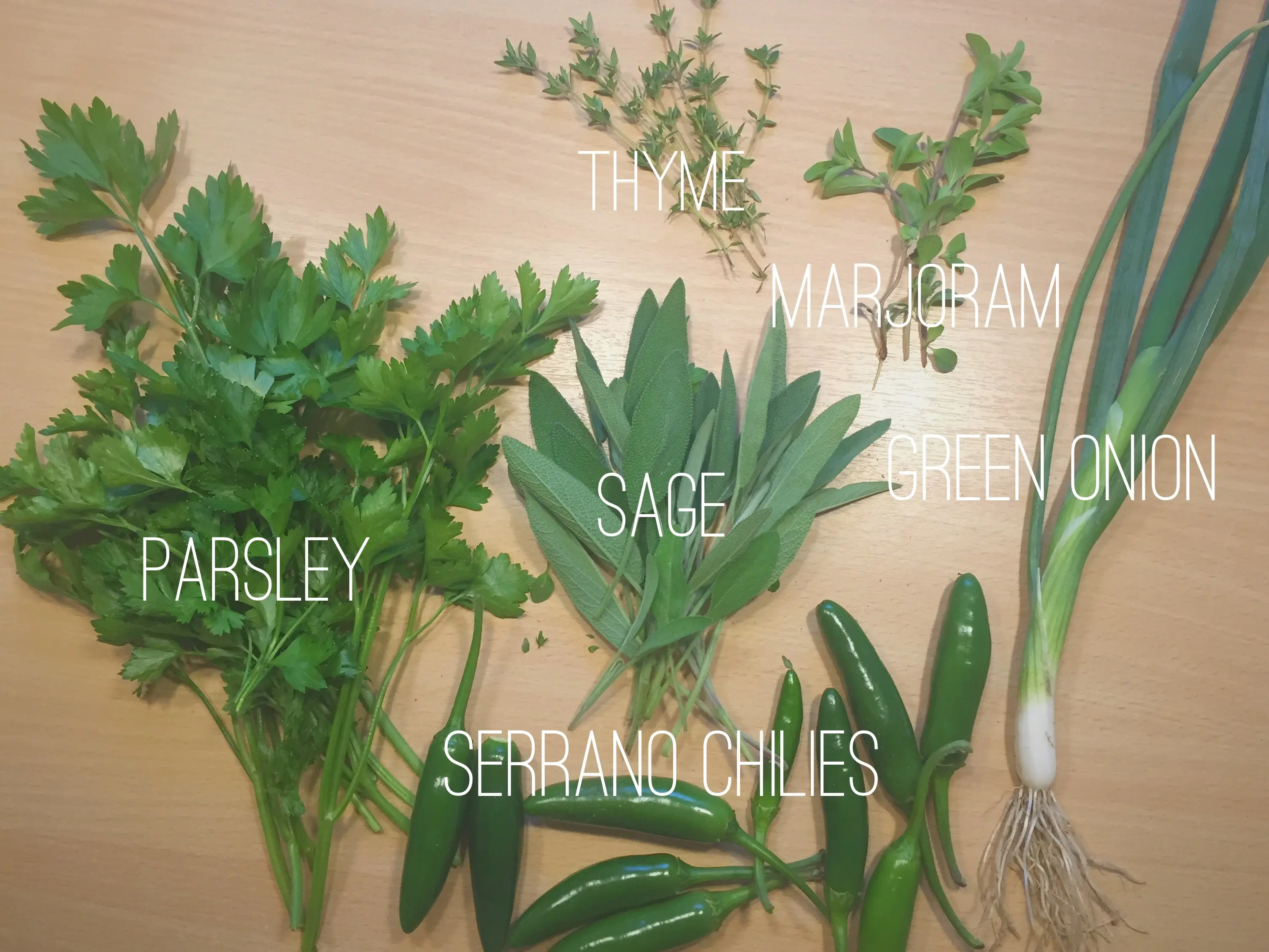 We went to the garden and picked some herbs and chilies. Their fragrance is intoxicating!